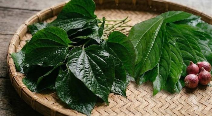 Lá lốt và lá xương sông đều là loại rau gia vị tốt cho sức khỏe. Ảnh minh họa AI