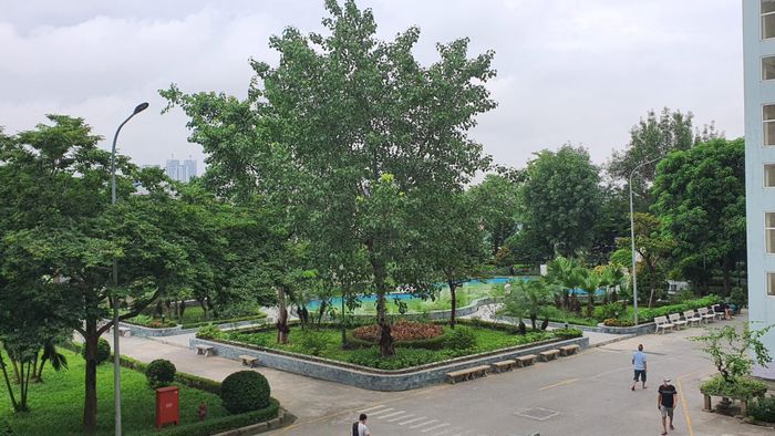 Người bệnh tận hưởng không gian xanh tại một bệnh viện. Ảnh: TH