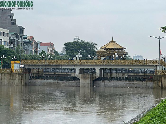 Tại sông Tô Lịch, nước dâng cao, áp sát khu vực bờ kè ở một số vị trí. Dòng nước chảy khá mạnh.
