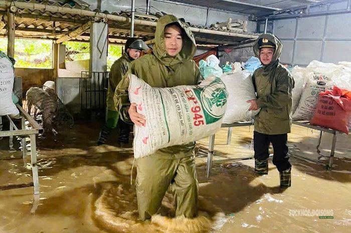 Chuyển lương thực trước khi nước dâng. Ảnh: Công an Phú Thọ. Ảnh: CACC