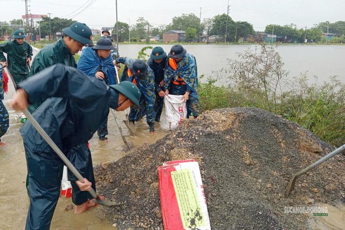 Cán bộ, chiến sĩ xúc cát, đóng bao để gia cố tuyến đê. Ảnh: H. Thuần
