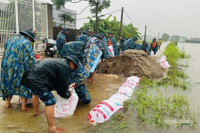 Khẩn trương vận chuyển vật liệu trong mưa lớn. Ảnh: H. Thuần