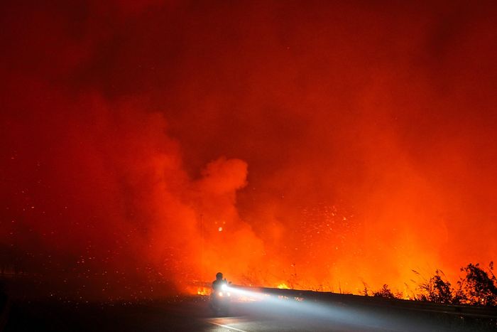  Cháy rừng bùng phát gần đường chính ở Ogan Ilir, tỉnh Nam Sumatra (Indonesia) ngày 11/9. Ảnh: Reuters. 