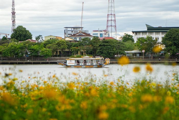  Tour du thuyền trên sông Hương hút khách dịp lễ 2/9. Ảnh: Châu Sa. 