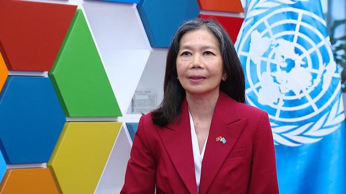 Điều phối viên thường trú Liên Hợp Quốc (LHQ) tại Việt Nam Pauline Tamesis- Ảnh: chinhphu.vn/Quang Thương