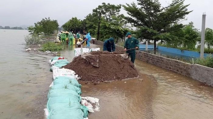 Lực lượng chức năng và người dân xã Trần Phú (Hà Nội) đắp đê chống tràn.