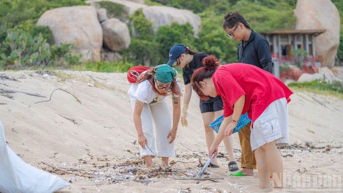 Mỗi ngày, cả nhóm sẽ dành từ 2-3 tiếng để tổng vệ sinh bờ biển.