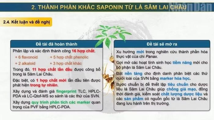 Một phần kết quả nghiên cứu các thành phần có trong lá Sâm Lai Châu.