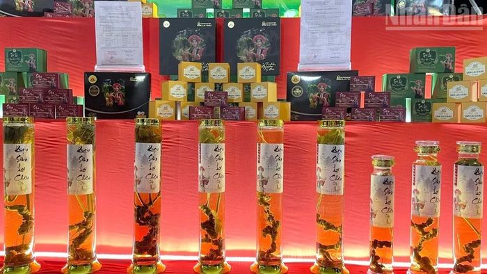 Một số sản phẩm từ sâm của Công ty cổ phần sâm Pusilung trưng bày tại hội chợ Sâm Lai Châu năm 2022.