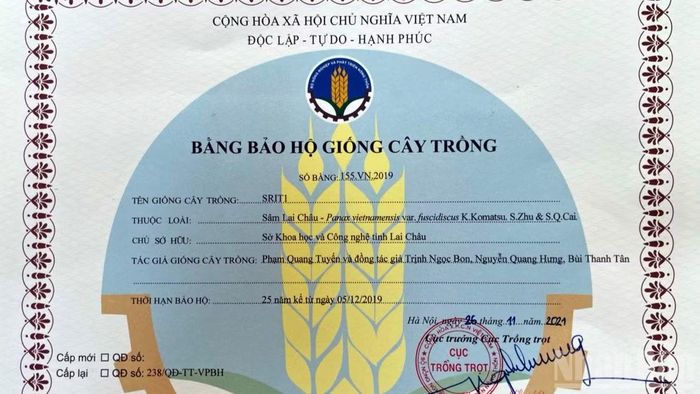 Bằng bảo hộ giống cây trồng do Cục Trồng trọt (Bộ Nông nghiệp và Môi trường) cấp cho cây Sâm Lai Châu từ năm 2019.