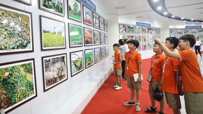 Các em học sinh Trường trung học cơ sở FPT Bắc Giang tham quan triển lãm. (Ảnh: DL)