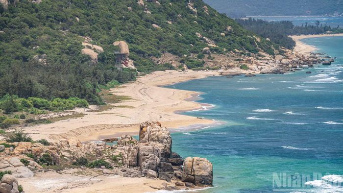 Đây là nơi hiếm hoi trên đất liền nước ta ghi nhận có loài rùa về làm tổ, đẻ trứng.