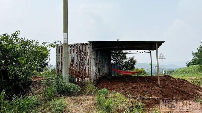 Những căn nhà tạm làm sẵn bằng container cũ được dựng lên sau một đêm trên lâm phần do Công ty Trách nhiệm hữu hạn Thương mại-Đầu tư Long Sơn quản lý.