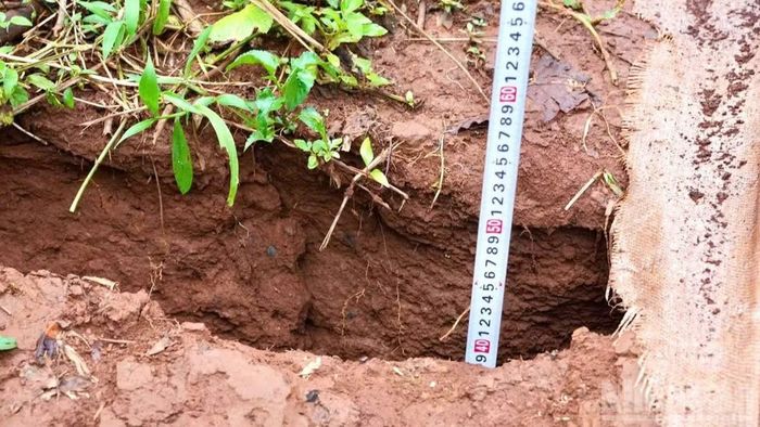 Các vị trí nứt mặt đất đang có diễn biến phức tạp, nguy cơ lan rộng ra khu vực lân cận.