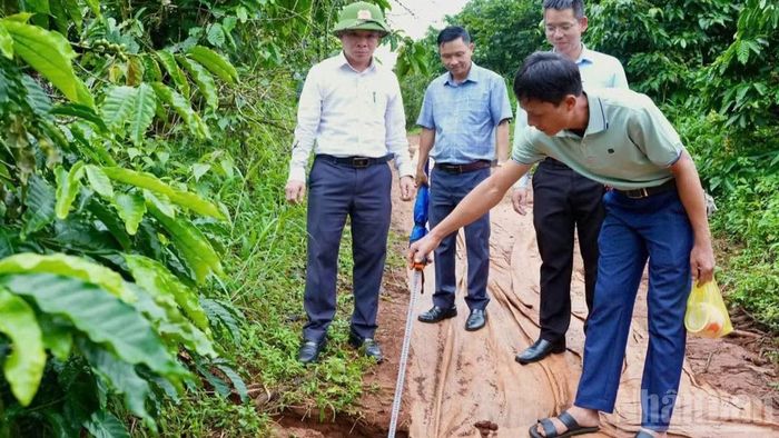Sụt lún, nứt mặt đất đã nhanh chóng lan rộng vào khu vực sản xuất liền kề.