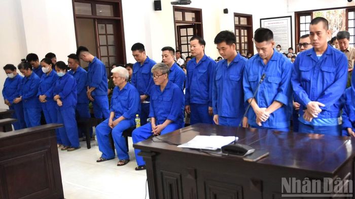 Hai cựu Viện trưởng Pháp y tâm thần Trung ương Biên Hòa và các bị cáo tại phiên tòa.