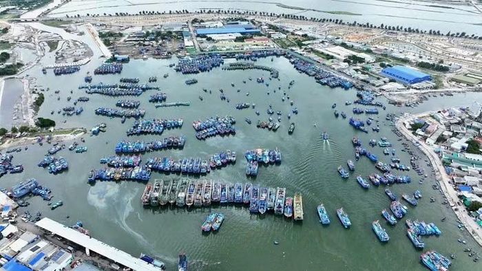 Một góc Cảng Cà Ná. (Ảnh: PHƯƠNG THẢO)