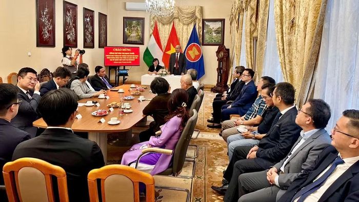 Đoàn công tác làm việc với cán bộ Đại sứ quán Việt Nam tại Hungary. (Ảnh: Đại sứ quán Việt Nam tại Hungary cung cấp)