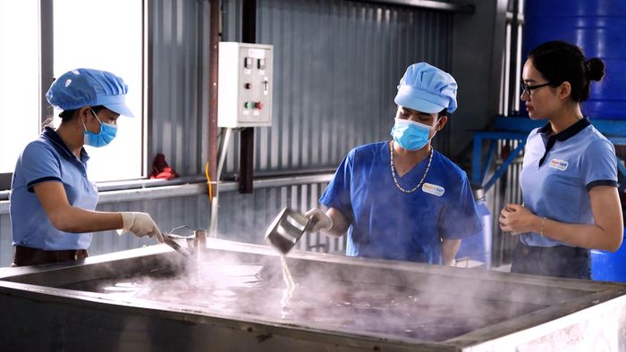 Công nhân Công ty muối NanoSalt (xã Quỳnh Văn, tỉnh Nghệ An) sản xuất muối dược liệu.