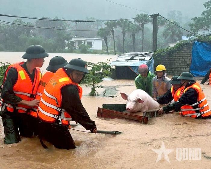 Các cán bộ, chiến sĩ Đồn Biên phòng Hải Hòa giúp nhân dân di dời người và tài sản đến nơi an toàn.