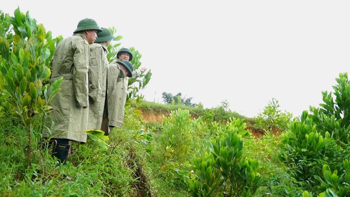 Lãnh đạo tỉnh Thanh Hóa và sở, ngành, địa phương kiểm tra hiện trạng vết nứt trên đồi Lau Ván