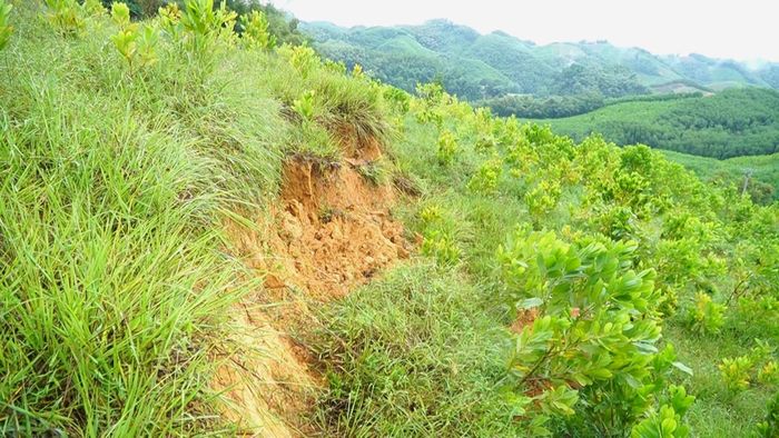 Điểm sạt trên đồi Lau Ván