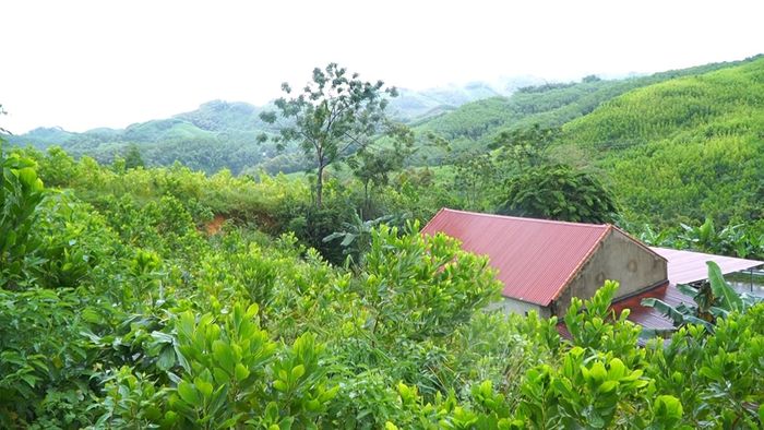 Các vết nứt, sạt trượt xuất hiện trên đồi Lau Ván phía sau nhà dân