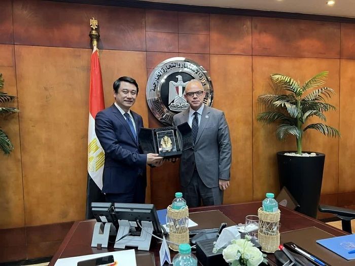 Thứ trưởng Ngoại giao Lê Anh Tuấn làm việc với Bộ trưởng Bộ Đầu tư và Ngoại thương Ai Cập Mohamed Farid Saleh. (Ảnh: Chu An)