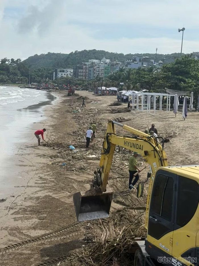 Lực lượng chức năng đưa máy móc dọn dẹp bãi biển