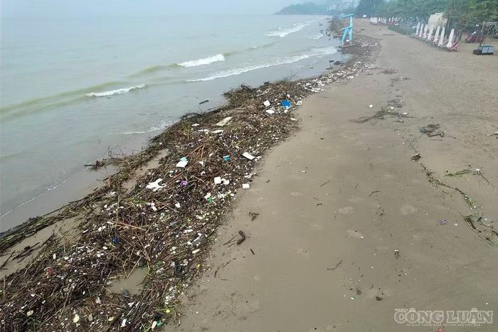 Khu vực trên các bãi tắm Sầm Sơn xuất hiện dày đặc củi, cành cây và rác do dòng nước lũ đưa về