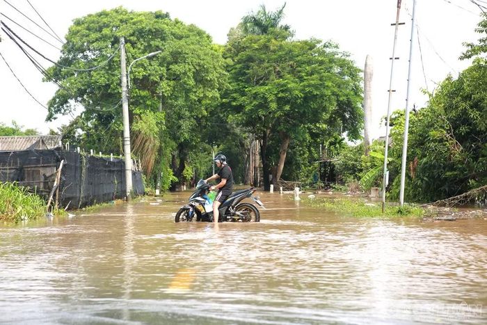 Một số phương tiện phải quay đầu, không thể tiếp tục di chuyển vào bên trong khu vực làng hoa.