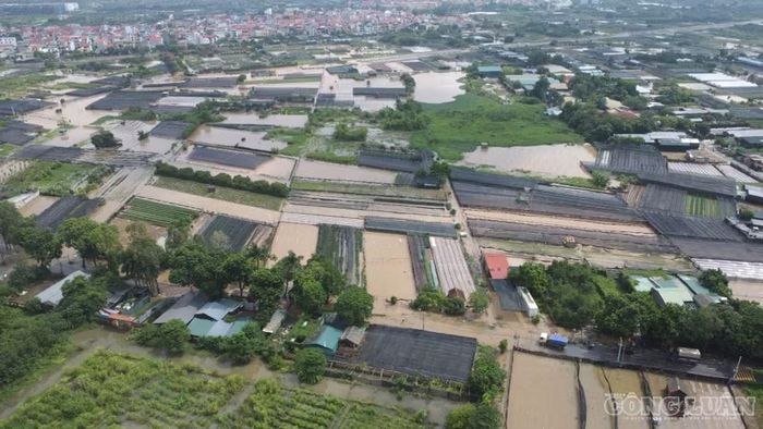 Nước từ các ruộng hoa, ruộng rau tràn ra đường.
