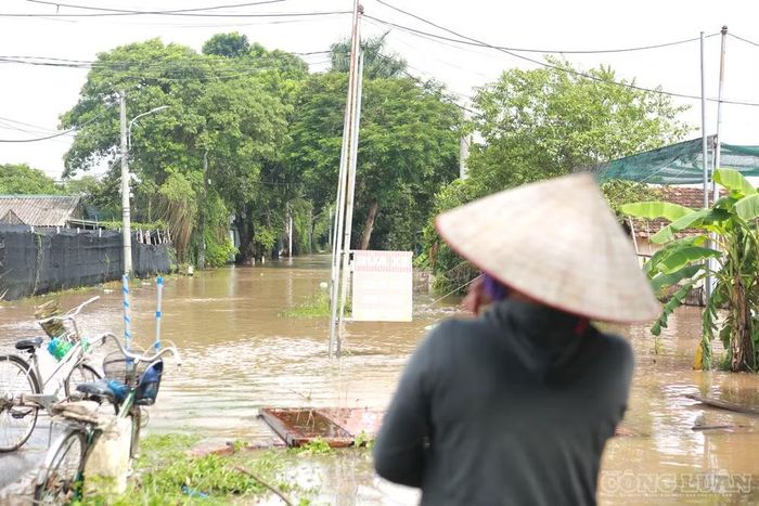 Theo cô Tuyết, nước ngập khiến người dân không thể xuống ruộng để kiểm tra, chăm sóc hay thu hoạch hoa màu. “Giờ không vào được, chúng tôi đành đứng ngoài này nhìn nước và nhìn ruộng, chỉ hi vọng nước rút nhanh”, cô Tuyết nói.