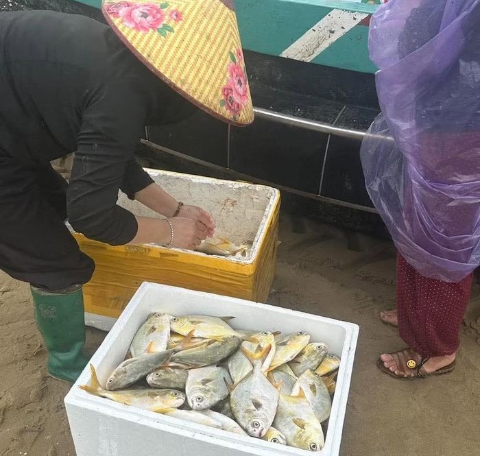 Hải sản sau khi đánh bắt được bán ngay tại bờ.