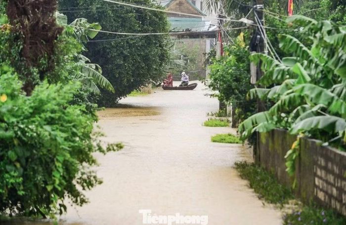Tại xã Hà Trung, mưa lớn cùng với nước sông Lèn dâng cao cũng gây ngập cục bộ nhiều khu dân cư. Trước nguy cơ nước lũ tiếp tục dâng cao, người dân tại các khu vực thấp trũng đã chủ động di chuyển tài sản, đưa gia súc, gia cầm lên đê và những vị trí cao ráo để hạn chế thiệt hại.