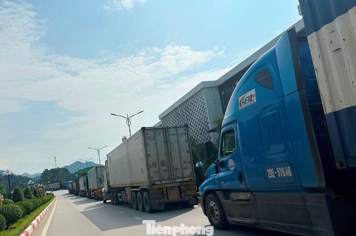 Tình trạng này đã gây ùn ứ khi có lượng xe tải về đông, phải xếp hàng dài chờ, thậm chí là chờ nhiều ngày