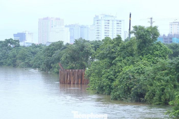 Cùng với sửa chữa thân đê, khu vực phía ngoài sông cũng được gia cố nhằm tăng khả năng chống chịu, chủ động ứng phó khi mưa bão và mực nước sông dâng cao.