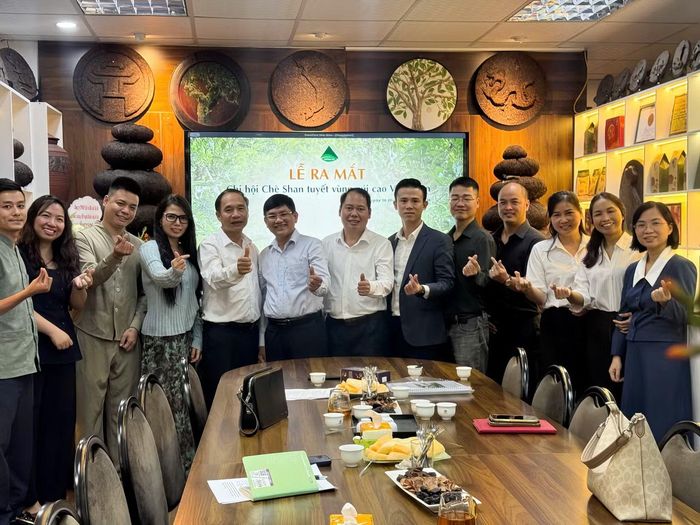 Chi hội Chè Shan Tuyết vùng núi cao Việt Nam.