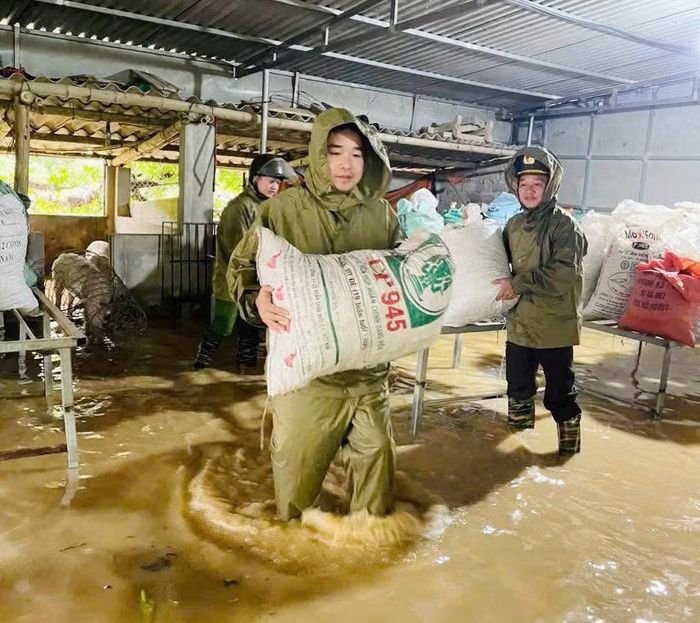 Lực lượng chức năng giúp người vận chuyển lương thực đến nơi an toàn.