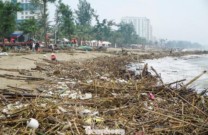 Rác, cành cây ngổn ngang khiến bãi biển như "bãi chông".