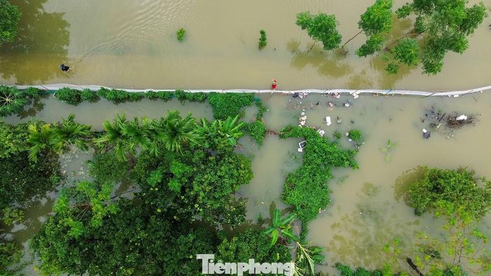 Sau nhiều ngày mưa lớn, nhiều diện tích sản xuất ven sông Tích vẫn ngập, một số tuyến đường nội đồng ngập sâu.