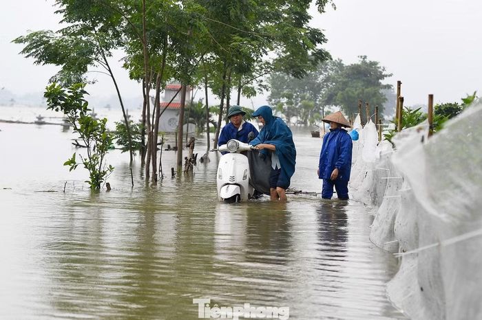 Những ngày qua, mưa lớn kéo dài khiến nhiều khu vực thấp trũng ở Kiều Phú ngập sâu. Theo Trung tâm Dịch vụ tổng hợp xã Kiều Phú, tổng lượng mưa đo được từ 7h ngày 14/9 đến 7h ngày 16/9 đạt 302,2 mm. Nước sông Tích sau đó dâng nhanh, vượt báo động III. Đến sáng 18/9, dù mưa đã giảm, mực nước sông vẫn ở mức 8,33-8,64 m, cao hơn báo động III từ 0,24-0,33 m.