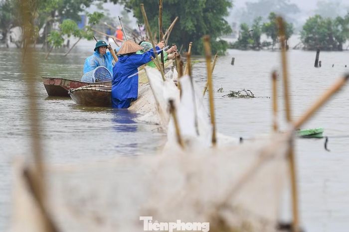 Những đoạn lưới bị nghiêng được dựng lại, bổ sung cọc tre, cọc thép để gia cố trước dòng nước.