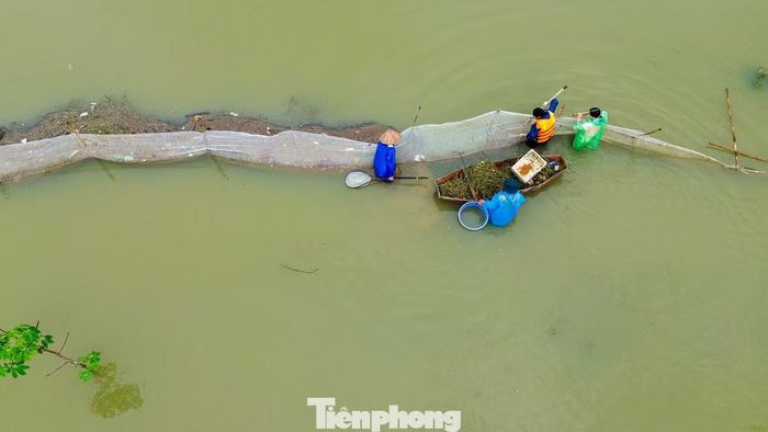 Nước dâng kéo theo bèo, cành cây và rác dồn vào lưới. Người dân liên tục vớt bỏ để giảm sức nặng, tránh lưới bị kéo đổ.