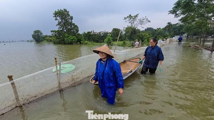 Đến trưa 18/9, người dân cùng lực lượng hỗ trợ vẫn có mặt tại khu vực nuôi cá, vớt rác và kiểm tra những đoạn lưới có nguy cơ bị đổ.