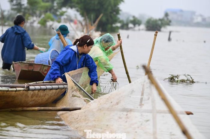Sáng 18/9, hàng chục cán bộ của Trung tâm Khuyến nông - Dịch vụ tổng hợp xã Kiều Phú cùng người dân kiểm tra hệ thống lưới bao quanh vùng nuôi cá.