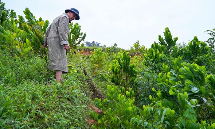 Lãnh đạo UBND xã Linh Sơn kiểm tra vết nứt.