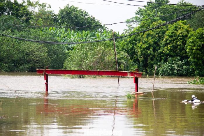 Một đoạn cầu dài khoảng 15–20 m đã hoàn toàn biến mất dưới dòng lũ sông Đáy, người đi đường chỉ còn nhận diện được vị trí cây cầu qua hai trụ cọc trơ trọi ở hai đầu cầu. Trước áp lực dòng nước chảy xiết và mực ngập sâu nguy hiểm, cơ quan chức năng đã phong tỏa toàn bộ lối đi để bảo đảm an toàn tính mạng cho người dân.