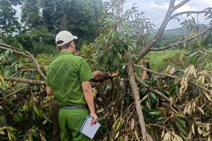 Ngày 16/9, Cơ quan công an khám nghiệm hiện trường liên quan đến vụ việc xảy ra tại Công ty Long Sơn.