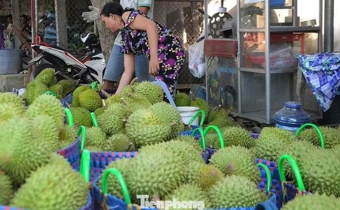 Nông sản ĐBSCL cần chuẩn hóa vùng nguyên liệu khi thị trường Trung Quốc ngày càng khắt khe.